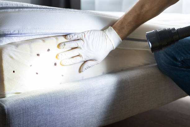 Best Pest Inspection Near Me  in Oakland, TN