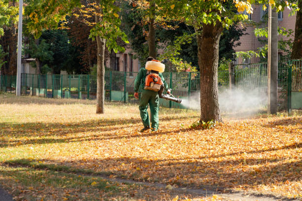 Best Mosquito Control Services  in Oakland, TN