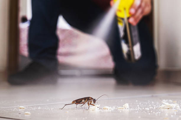 Oakland, TN Pest Control Company