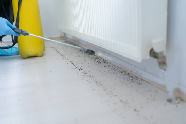 Best Flea Control Services  in Oakland, TN