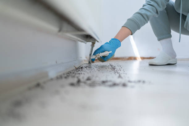 Best Best Pest Control Companies  in Oakland, TN